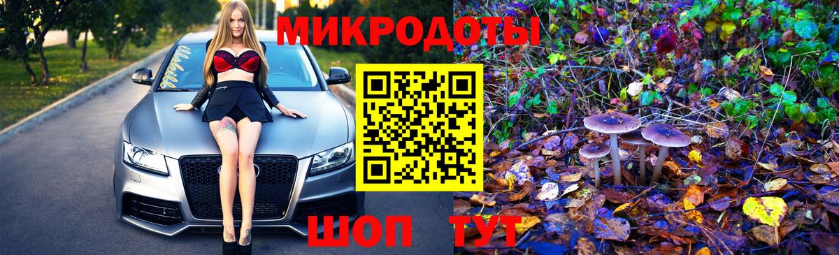 Галлюциногенные грибы Psilocybe Конаково
